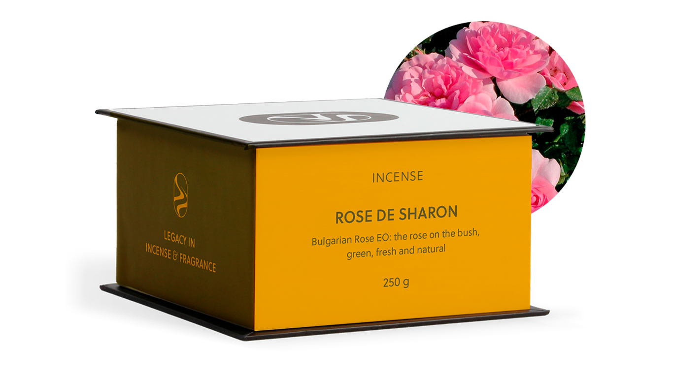 Rose de Sharon – Image 3